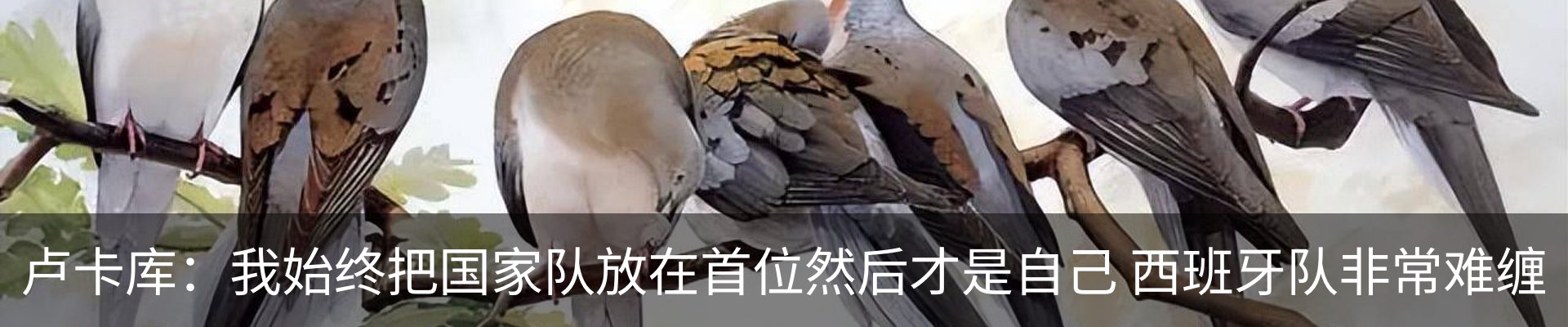 内页banner